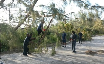 Workers removing branches from fallen tree in Andros