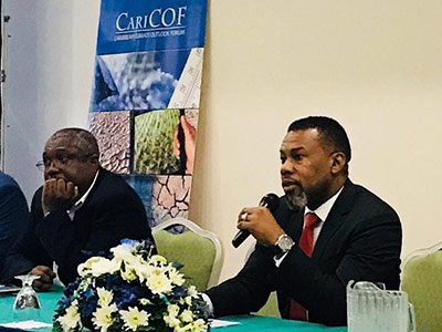 Building towards people-centric Early Warning systems in the Caribbean