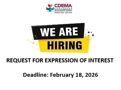 REOI - BEYOND 2024: ENHANCEMENT OF THE CDM STRATEGY AND PROGRAMMING FRAMEWORK