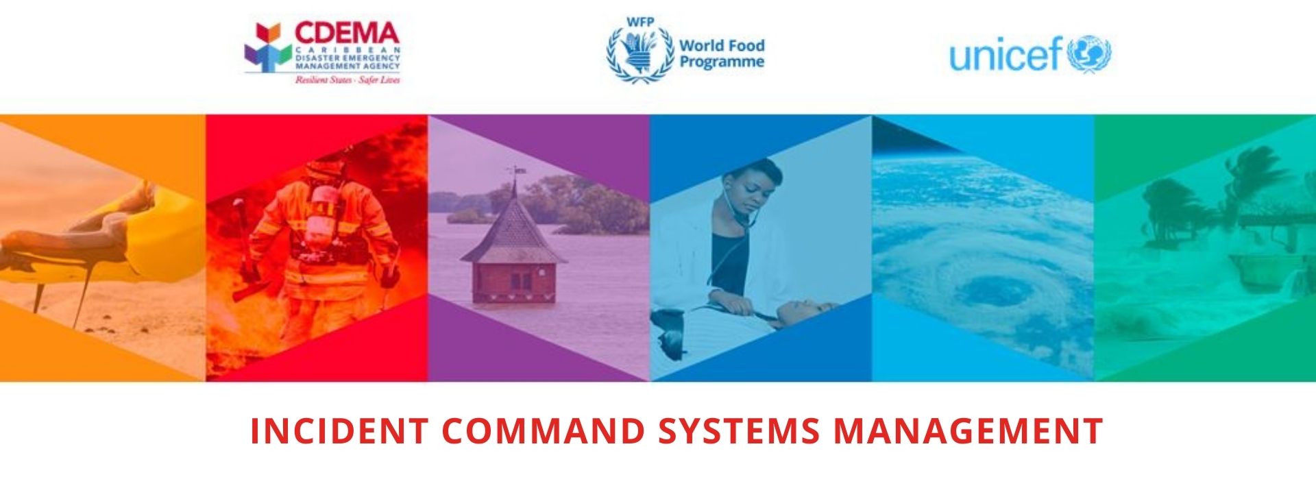 Incident Command Systems (ICS)