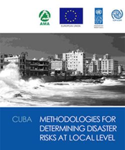 Methodologies for Determining Disaster Risks at Local Level